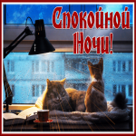 Открытка блестящая открытка  спокойной ночи с котиками