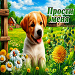 Postcard чистосердечная гиф-открытка, прости
