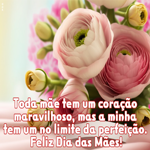 Picture dia das mães