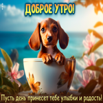 Picture доброе утро! пусть день принесет тебе улыбки и радость!