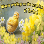 Postcard easter