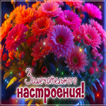 Picture элегантная гиф-открытка, замечательного настроения