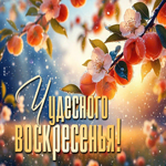 Postcard гениальнейшая гиф-открытка, пусть воскресенье пройдет чудесно