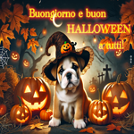 Postcard halloween