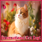 Postcard international cat day