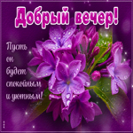 Postcard контурная гиф-открытка, спокойного вечера