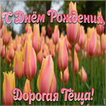 Открытка красивая открытка теще с тюльпанами