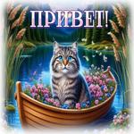 Picture ласковая гиф-открытка, пушистый привет