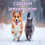 Picture морозный воздух открытка для бодрого утра