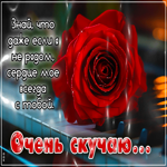 Postcard мудрая гиф-открытка, очень скучаю