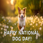 Postcard national dog day