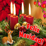 Picture navidad