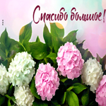 Picture обворожительная гиф-открытка, спасибо большое тебе