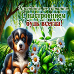 Picture очаровательная гиф-открытка, улыбайся и не сдавайся