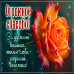 Picture оригинальная гиф-открытка, огромное спасибо за внимание