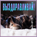 Картинка особенная открытка  с чаем и котиком