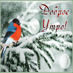 Postcard открытка доброе утро со снегирем и снежком