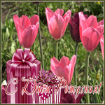 Picture открытка с днем рождения женщине с чудесными розовыми тюльпанами
