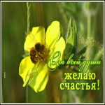 Картинка открытка желтые цветы и пожелания