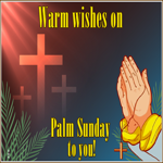 Postcard palm sunday