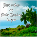 Picture palm sunday