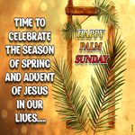 Postcard palm sunday