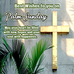 Postcard palm sunday