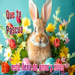 Picture pascua