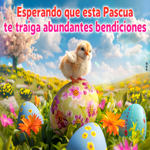 Postcard pascua