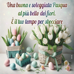Picture pasqua