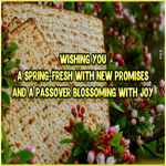 Picture passover