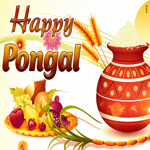 Picture pongal