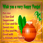 Picture pongal