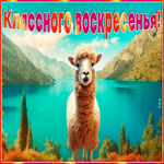 Postcard радужно-яркая открытка классного воскресенья!