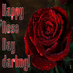 Postcard rose day