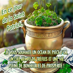 Postcard saint patrick