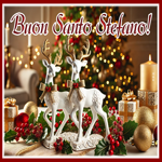 Picture santo stefano