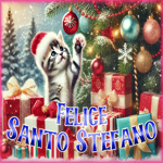 Postcard santo stefano