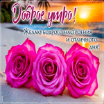 Postcard сказочная гиф-открытка, желает бодрого утра