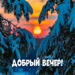 Postcard снежное спокойствие открытка добрый вечер