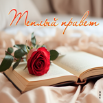 Picture стильная открытка с розой и книгой теплый привет