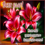 Picture уникальная гиф-открытка, всех благ иебе