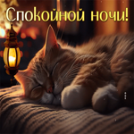 Postcard уютная гиф-открытка со спящим котиком, спокойной ночи