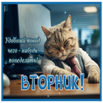 Postcard вдохновляющая гиф-открытка, удобный повод чего-нибудь поделать во вторник