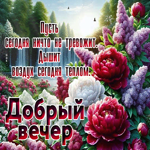 Postcard вечерняя гиф-открытка, пусть сегодня ничего не тревожит