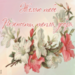 Открытка виртуальная открытка с лилиями