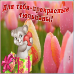 Открытка виртуальная открытка с тюльпанами