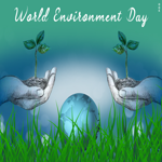 Picture world environment day