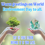 Postcard world environment day