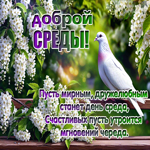 Postcard яркая гиф-открытка, доброй среды вам